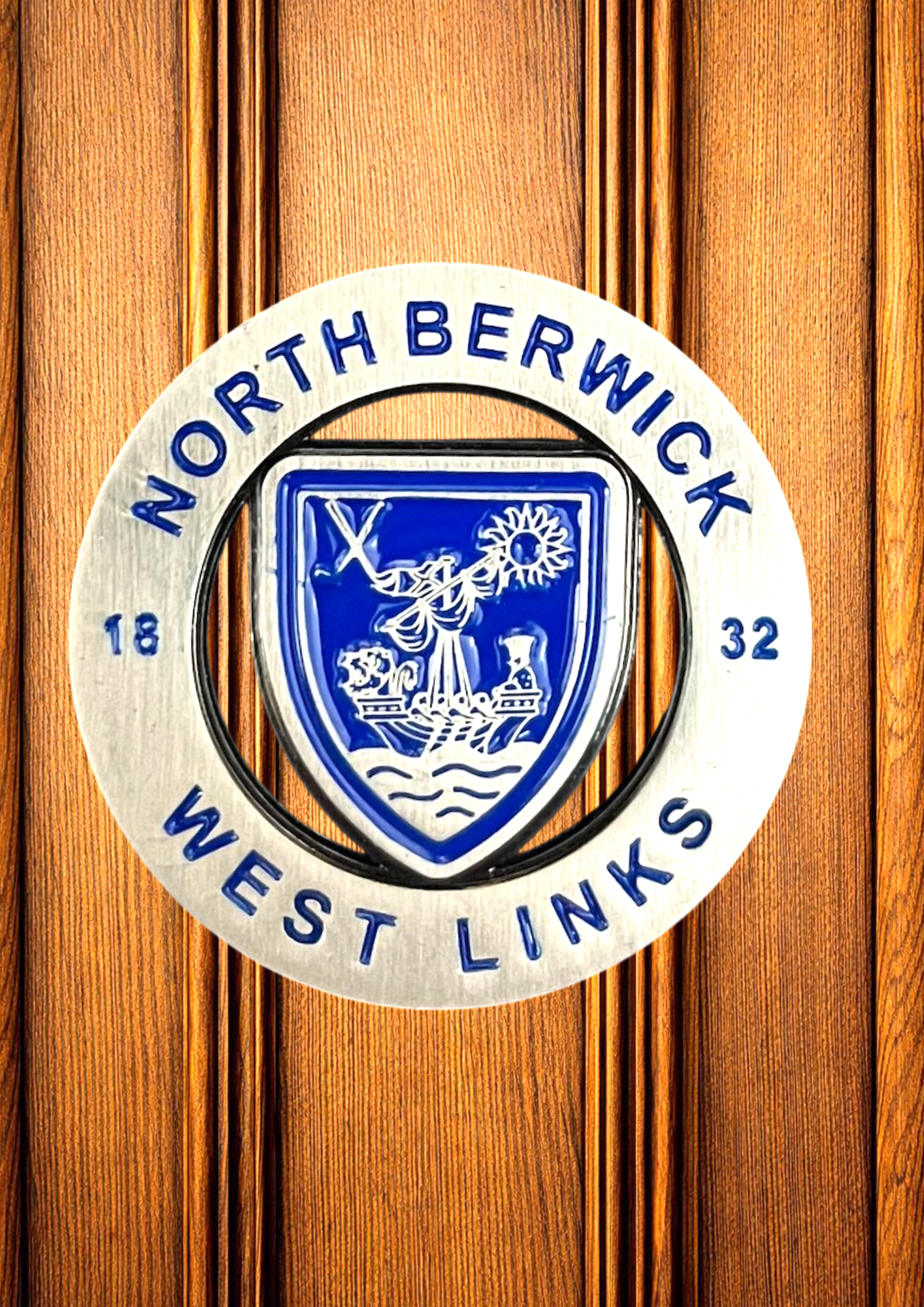 Cut Out Ball Marker - Silver/Blue