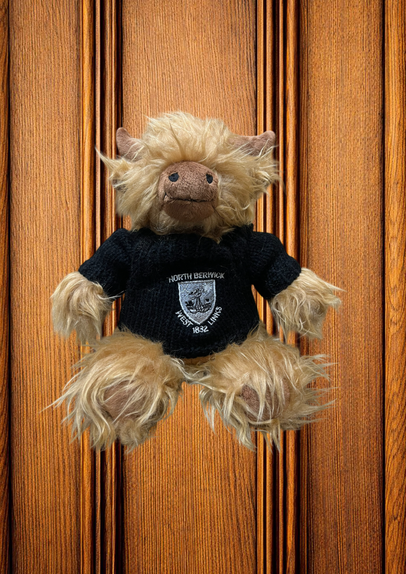 Highland Cow Soft Toy