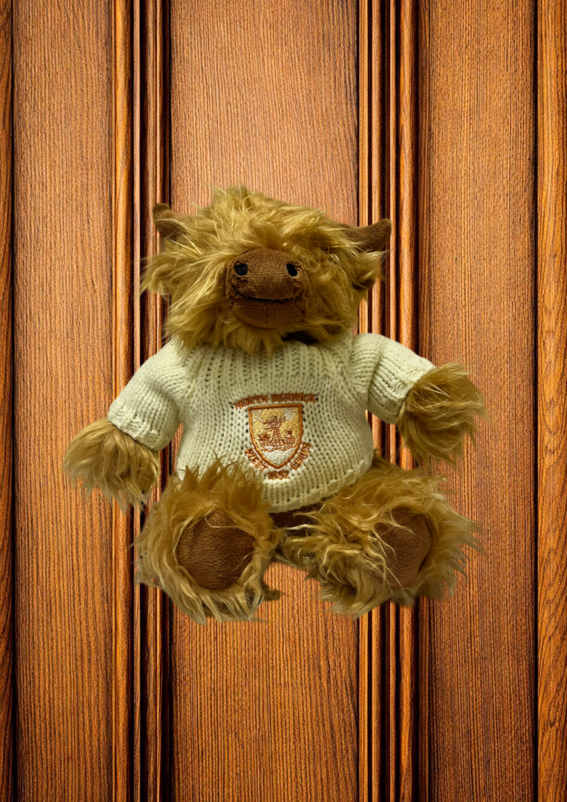Highland Cow Soft Toy