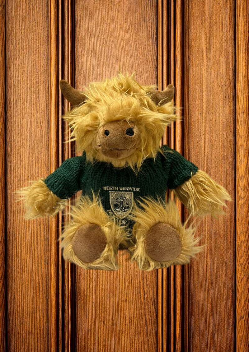 Highland Cow Soft Toy