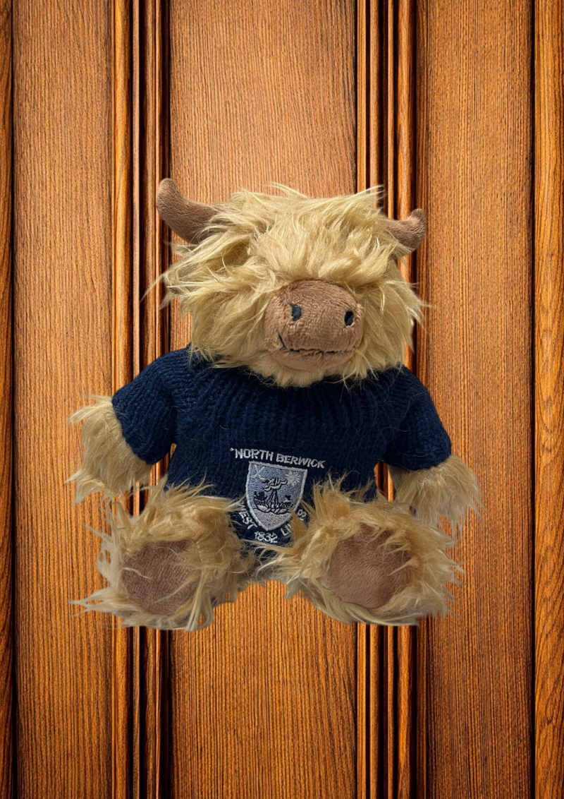Highland Cow Soft Toy