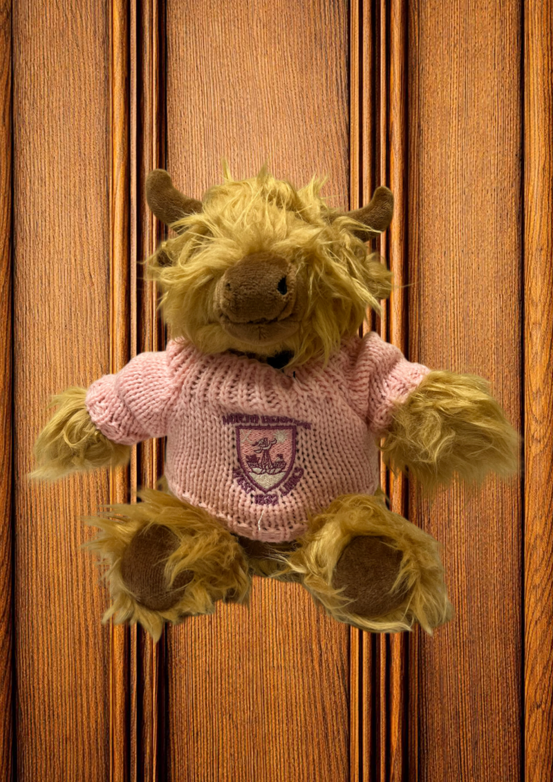 Highland Cow Soft Toy