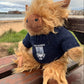 Highland Cow Soft Toy