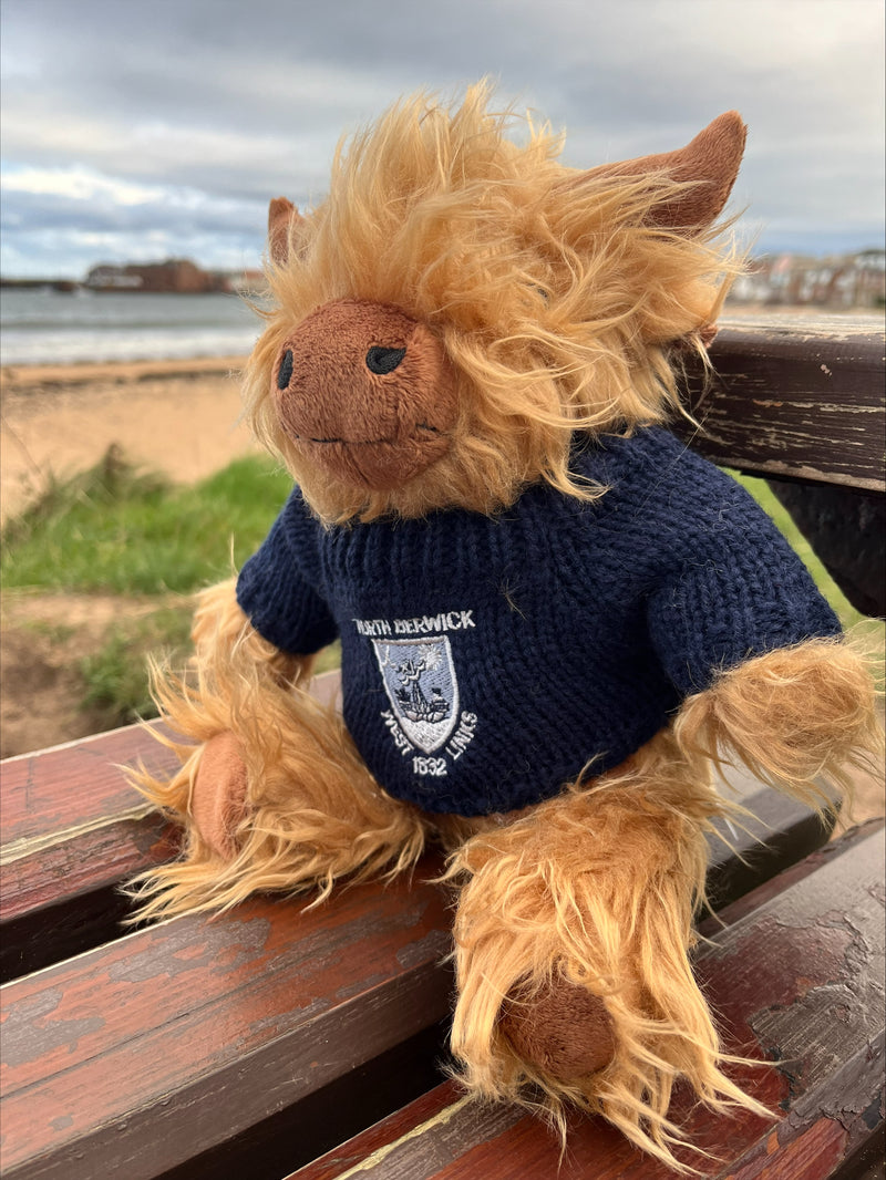 Highland Cow Soft Toy