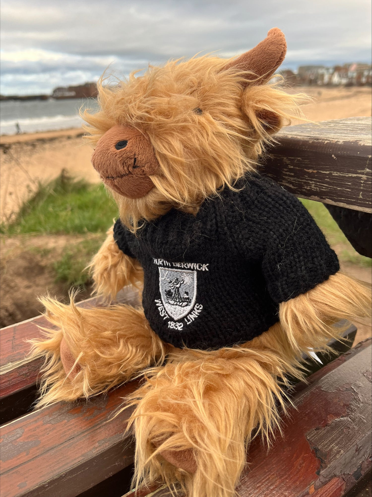 Highland Cow Soft Toy