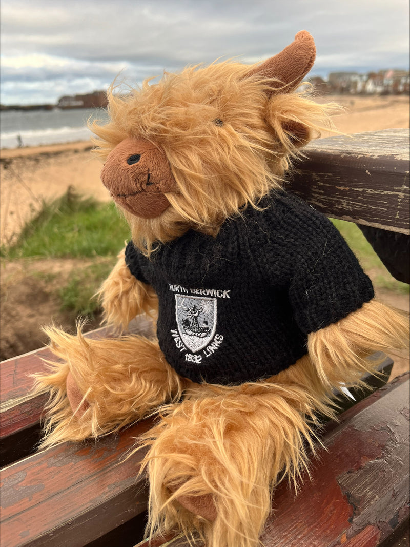 Highland Cow Soft Toy