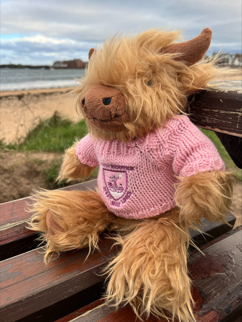 Highland Cow Soft Toy