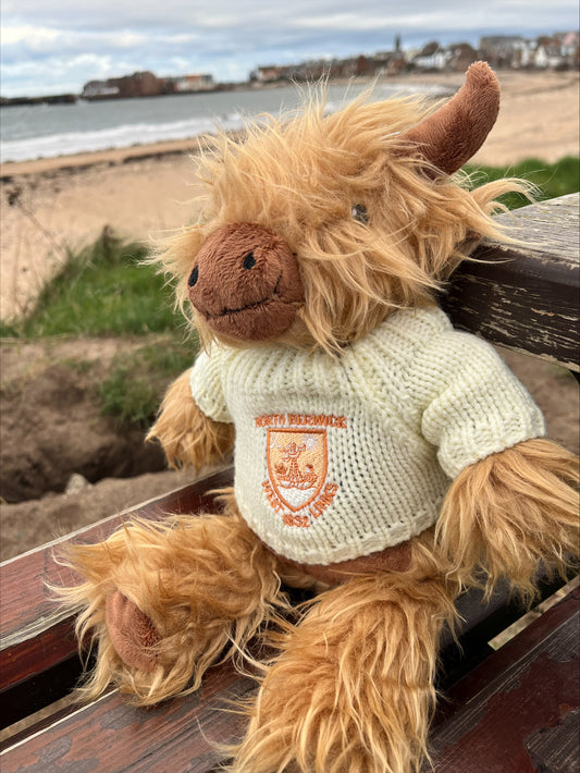 Highland Cow Soft Toy