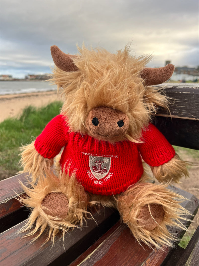 Highland Cow Soft Toy